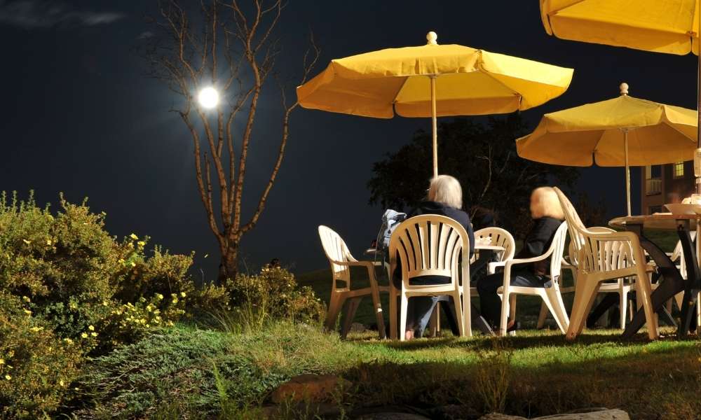 Dine Under The Moon