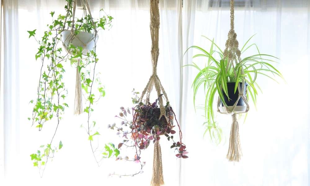 Place Hanging Plants Above The Door